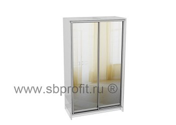 Двери для шкафа купе зеркальные