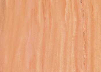 Маврикийская ракушка