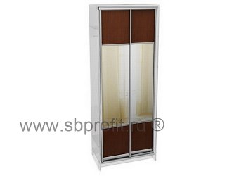 Двери для шкафа купе комб