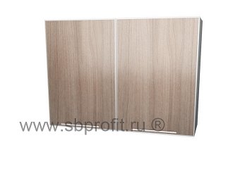 Шкаф двухдверный  100