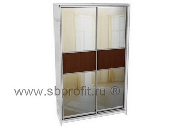 Двери для шкафа купе комб 1