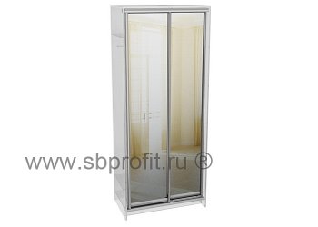 Двери для шкафа купе зеркальные