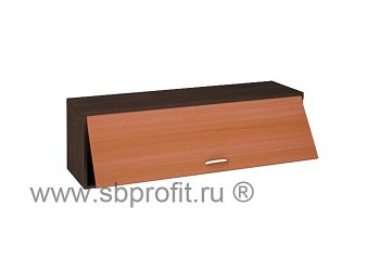 Полка навесная 120 с дверью откр вверх