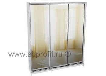Двери для шкафа купе зеркальные