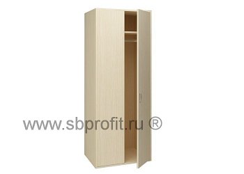 Шкаф для одежды глуб двуств