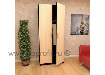 Шкаф двухдверный распашной