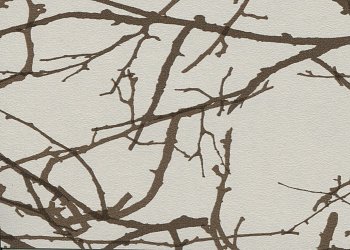 Лесные ветви