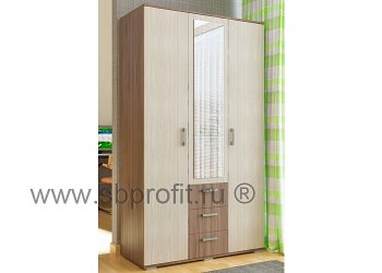 Шкаф распашной с зеркалом и ящиками