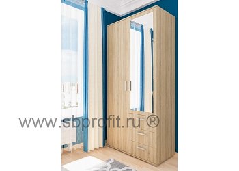 Шкаф распашной с зеркалом