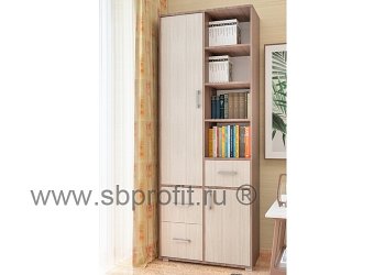 Шкаф распашной с полками и ящиками