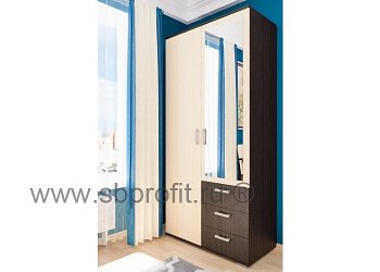 Шкаф распашной с зеркалом