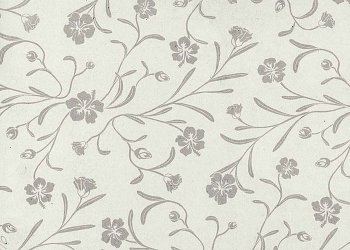 Серебряный эдельвейс