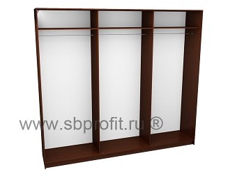 Шкаф-купе корпус