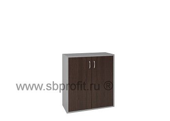 Шкаф для бумаг широкий низкий