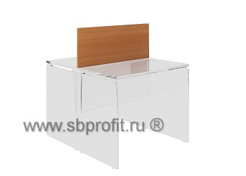 Перегородка 100