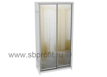 Двери для шкафа купе зеркальные