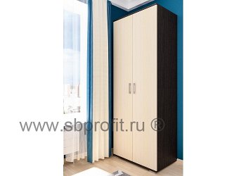 Шкаф распашной с полками и штангой