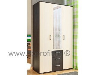 Шкаф распашной с зеркалом и ящиками