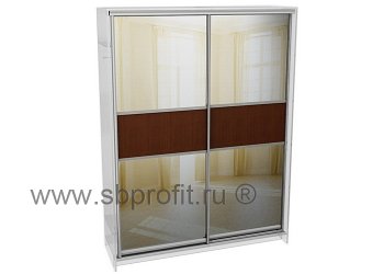 Двери для шкафа купе комб 1