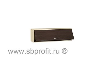 Полка навесная 120 с дверью откр вверх