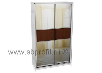 Двери для шкафа купе комб 1