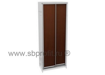 Двери для шкафа купе глухие