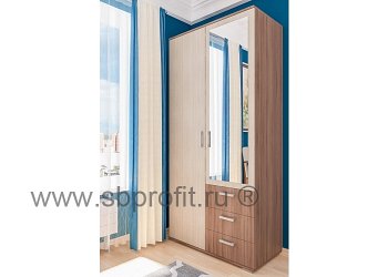 Шкаф распашной с зеркалом