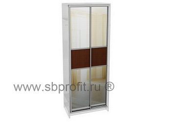 Двери для шкафа купе комб 1