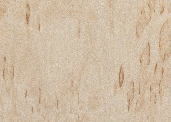 Береза песчаная