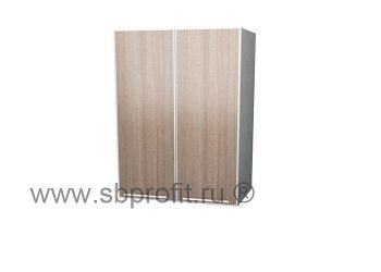 Шкаф двухдверный  55