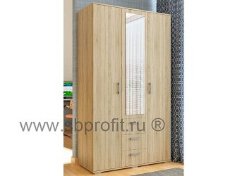 Шкаф распашной с зеркалом и ящиками